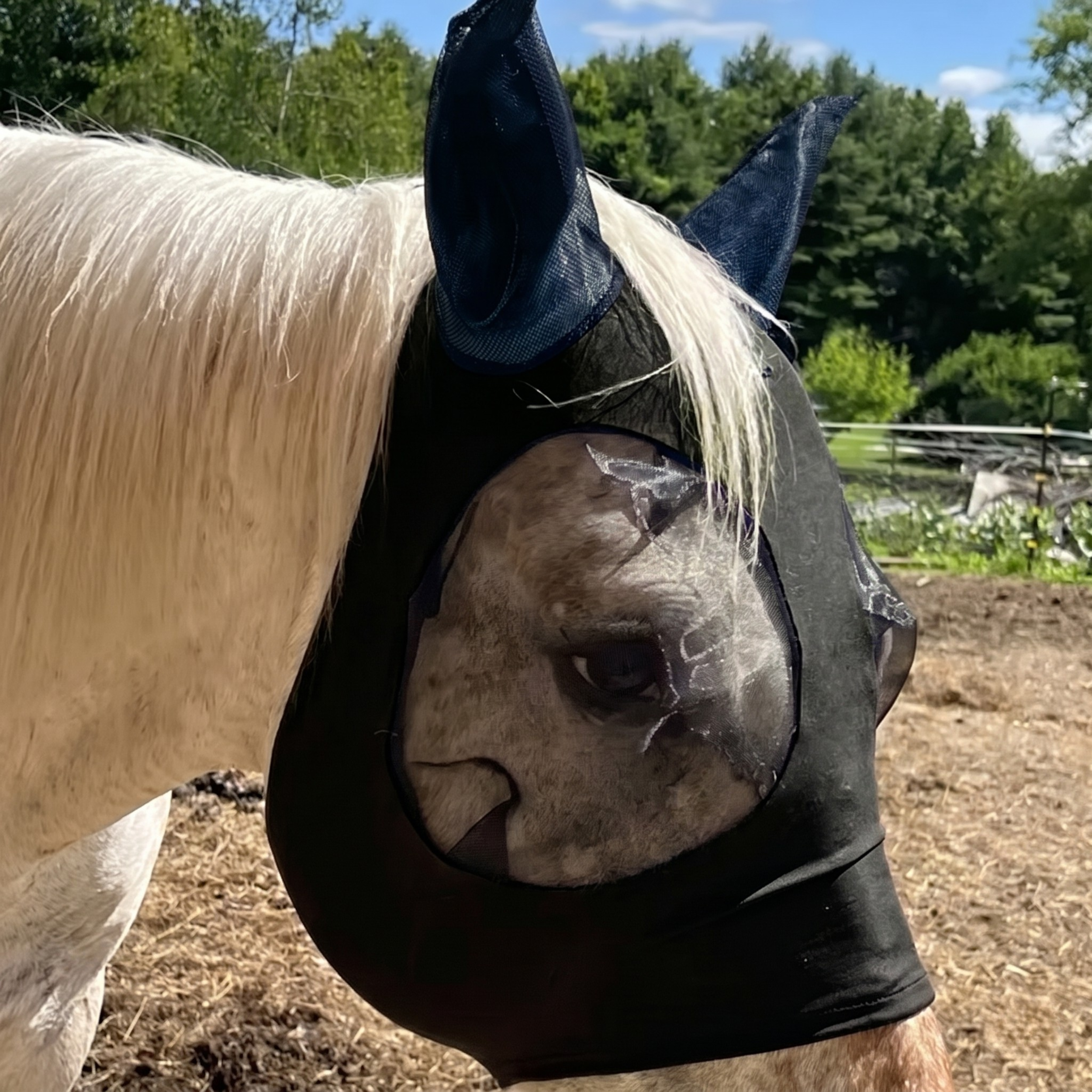 Bouclier Anti-Mouches Cheval Sculpya™