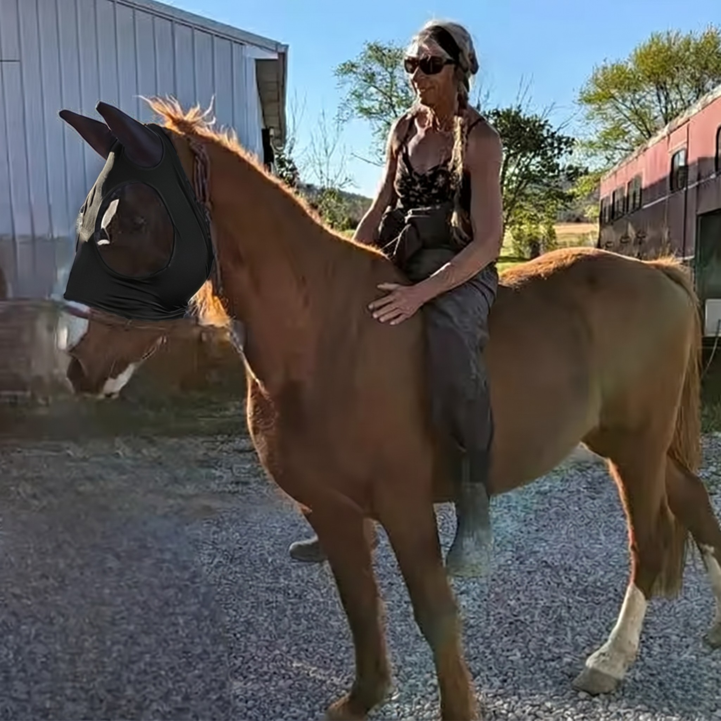 Bouclier Anti-Mouches Cheval Sculpya™